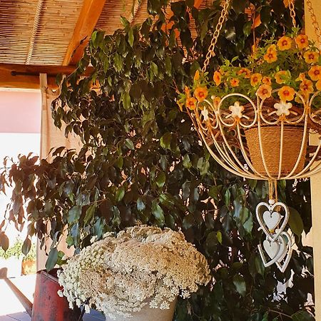 B&B La Vela Chia Exterior photo