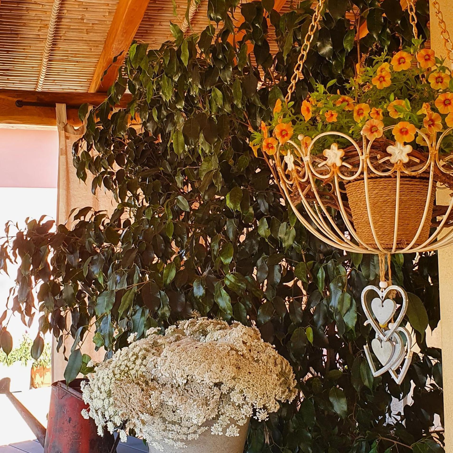B&B La Vela Chia Exterior photo